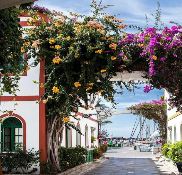 vista de casas en Mogán